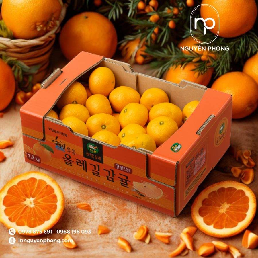 Mẫu thùng carton đựng cam